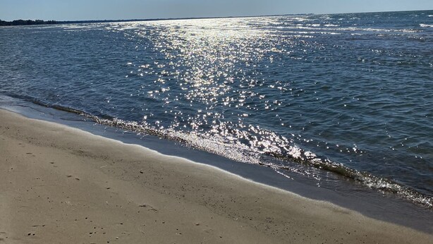 Una playa con cielo despejado y mar tranquilo.