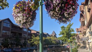 A street with hanging flower baskets, parked cars, and buildings with balconies.