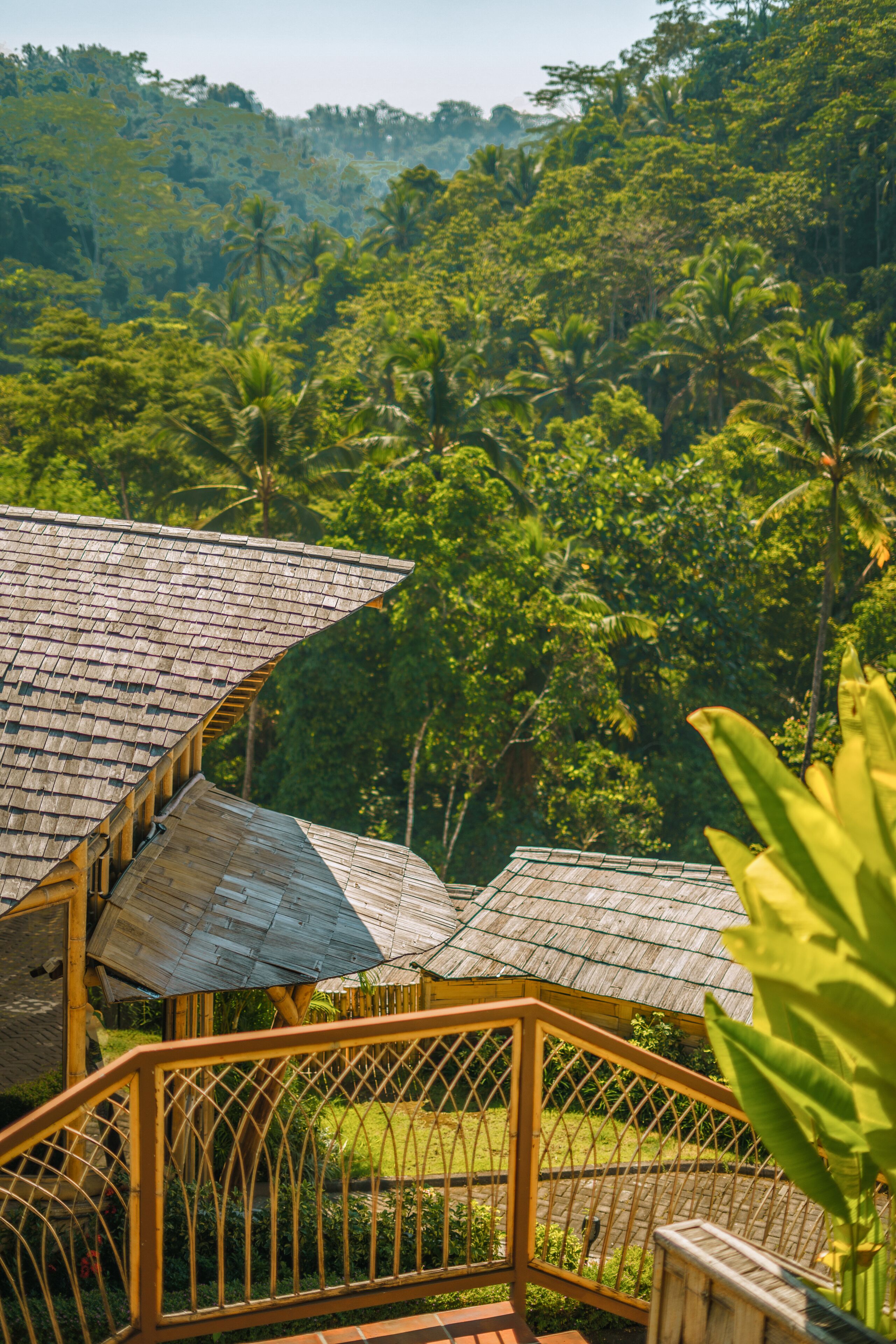 A wooden structure with a sloped roof, surrounded by lush greenery and a dense forest in the background.
