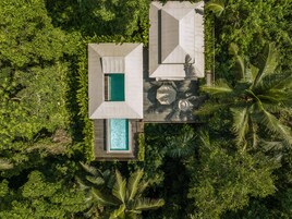 Jungle Infinity Pool Lodge - Adults Only | View from room