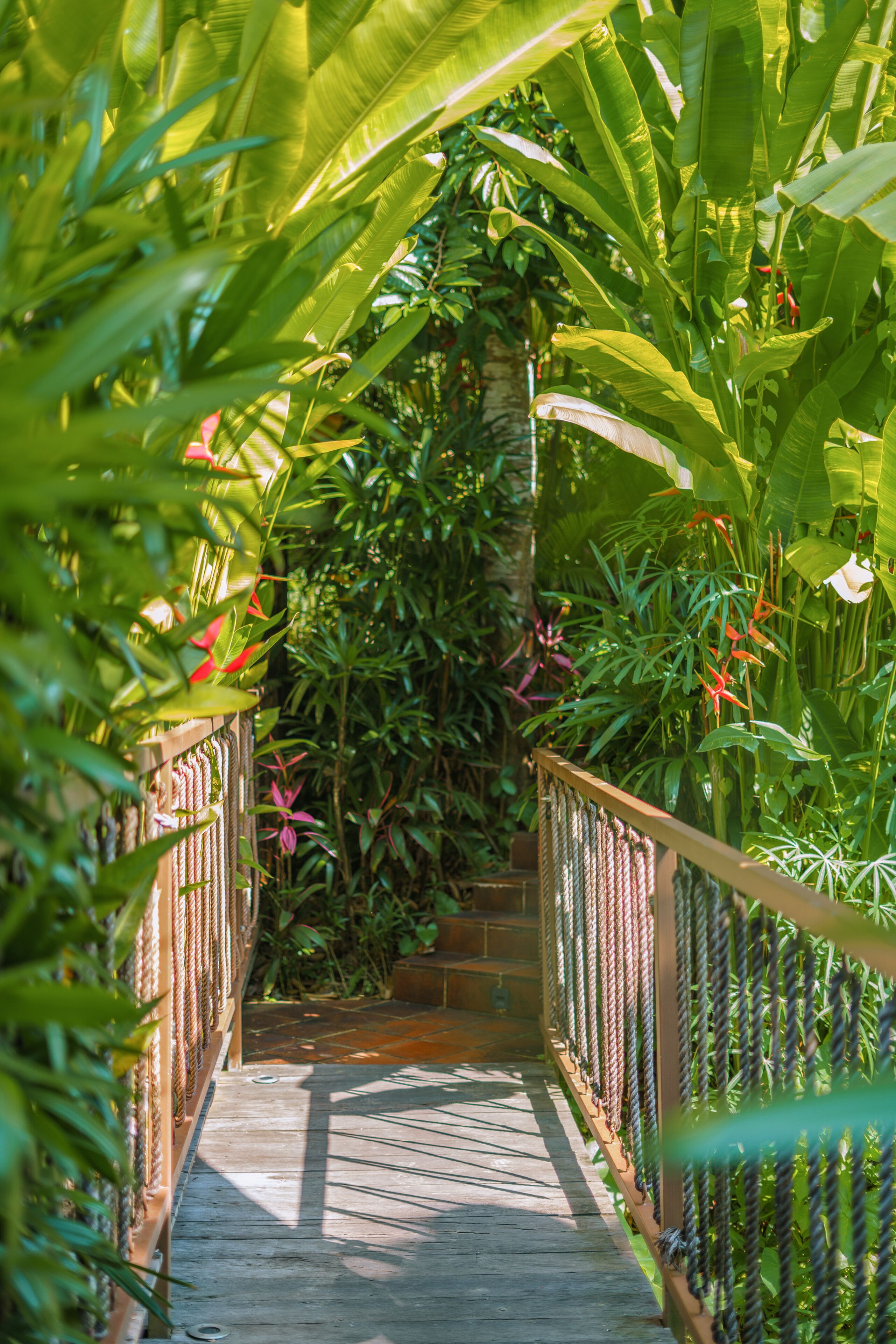 Private Hot Tub Jungle Lodge - Adults Only | View from room