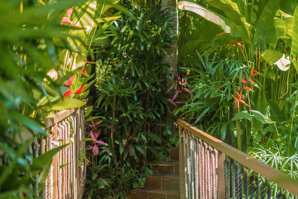 Private Hot Tub Jungle Lodge - Adults Only | View from room