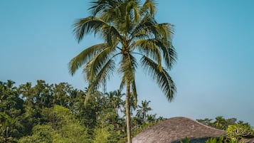 Jardín