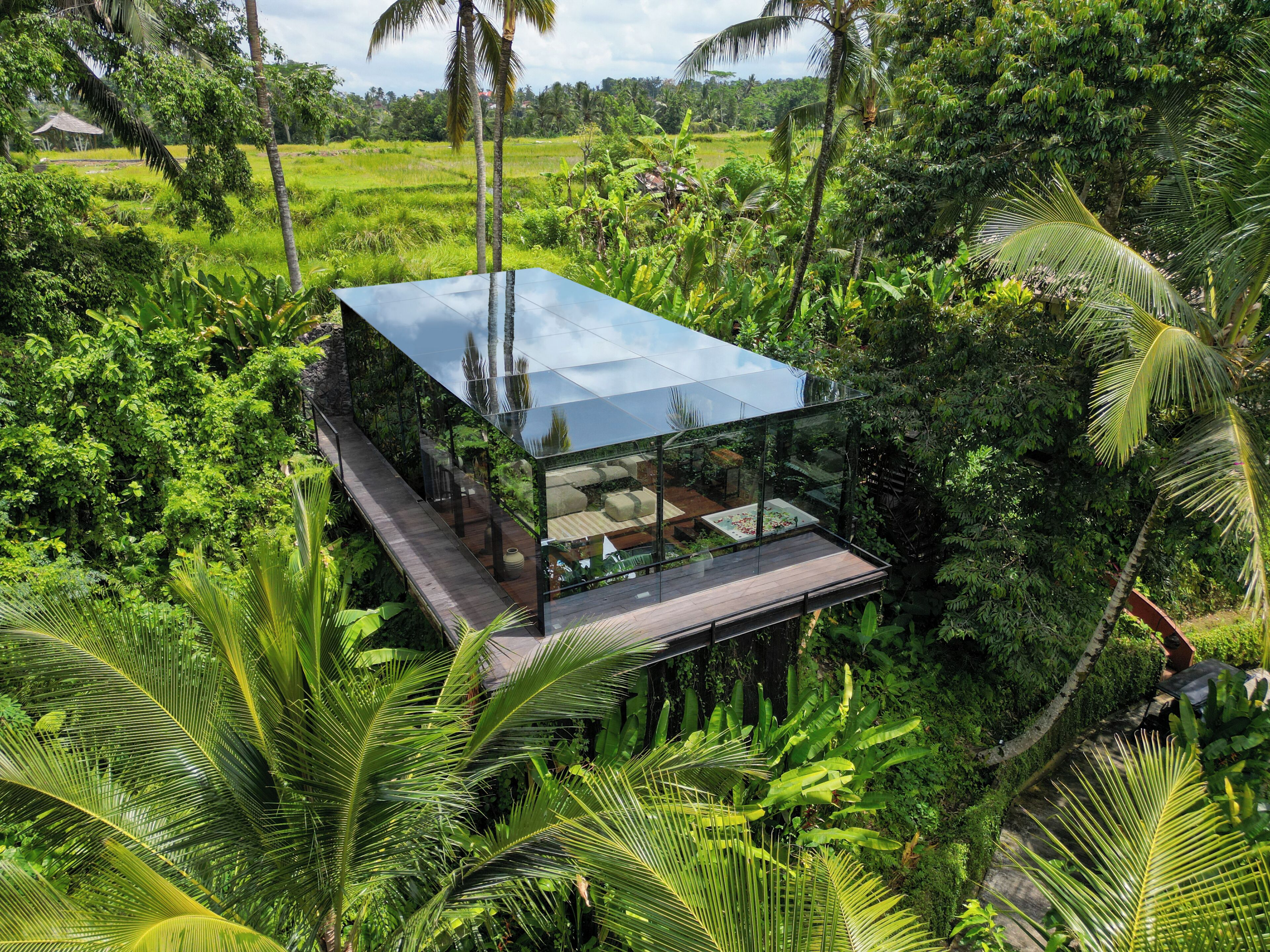 Una casa moderna de vidrio rodeada de abundante vegetación.