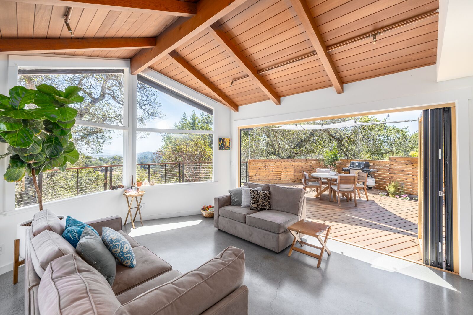 Smart TV y impresora 