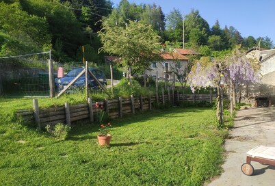 1700s renovated farmhouse with fireplace, large garden veranda