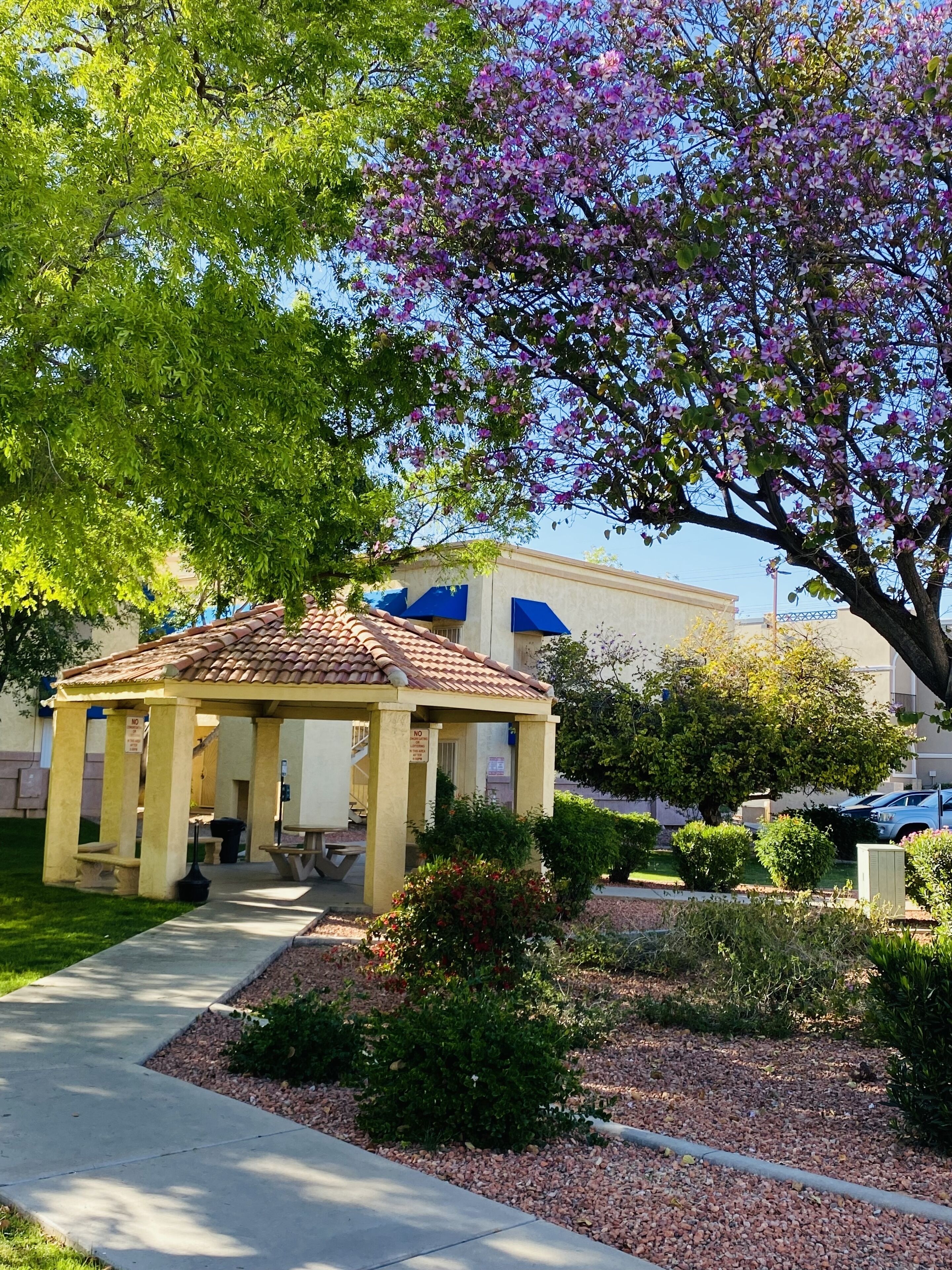 Overnattingsstedets uteområder