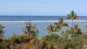 A coastal landscape with palm trees and ocean waves. - Kaz Lagoon, quiet house, sea view, 1mn walk from the lagoon! (Saint Paul)