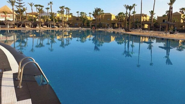 En swimmingpool med liggestole og palmer, omgivet af gule bygninger.