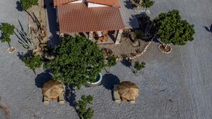 Vista aérea de un edificio con tejado de tejas, rodeado de árboles y plantas diversas.