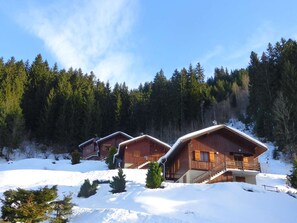 A row of wooden cabins with balconies, surrounded by snow and dense forest.