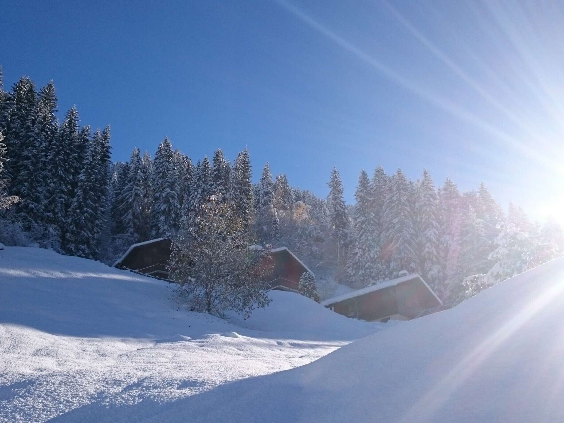 Un paysage enneigé avec des chalets nichés au milieu des arbres.