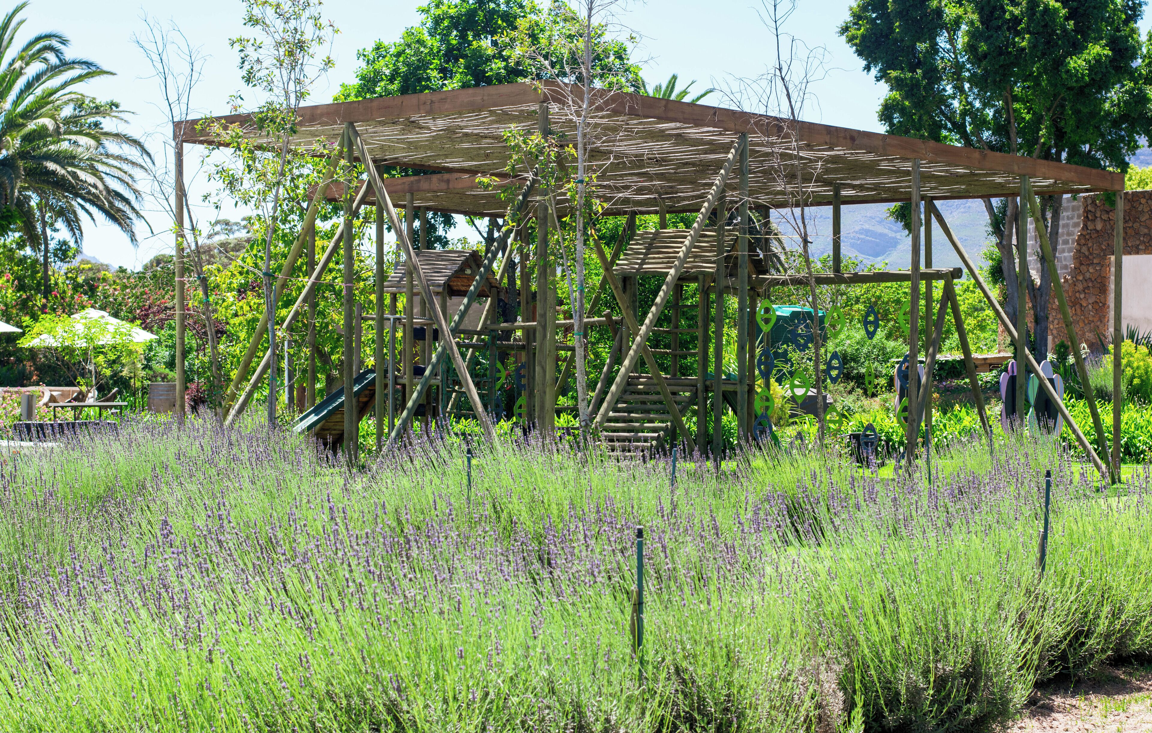Una estructura de pérgola de madera con una escalera, rodeada de exuberante vegetación y campos de lavanda.