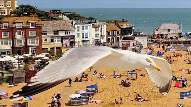 Ein Strand mit Menschen, Sonnenschirmen und Gebäuden im Hintergrund.