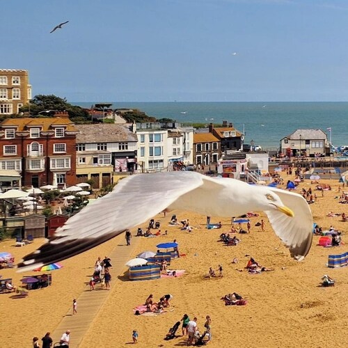 Serenity - Sea View Duplex - close to the gorgeous scenic town