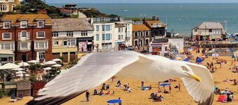 Serenity - Sea View Duplex - close to the gorgeous scenic town