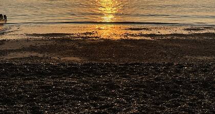 Fantastic Private Studio Apartment