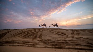 A desert landscape with sand dunes and camels. - Marvin Desert Camp (Jaisalmer)