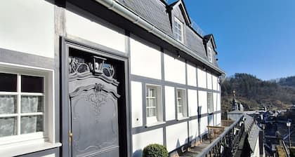 Stachelburg - apartment with fireplace room- apartment with terrace