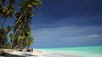 Perto da praia, areia branca, 15 bares na praia