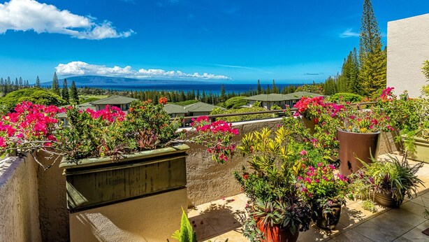 Un jardin sur le toit, agrémenté de plantes et de fleurs en pot, offrant une vue panoramique sur un paysage côtier.