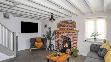 TV, fireplace