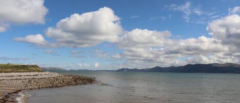 بالقرب من الشاطئ