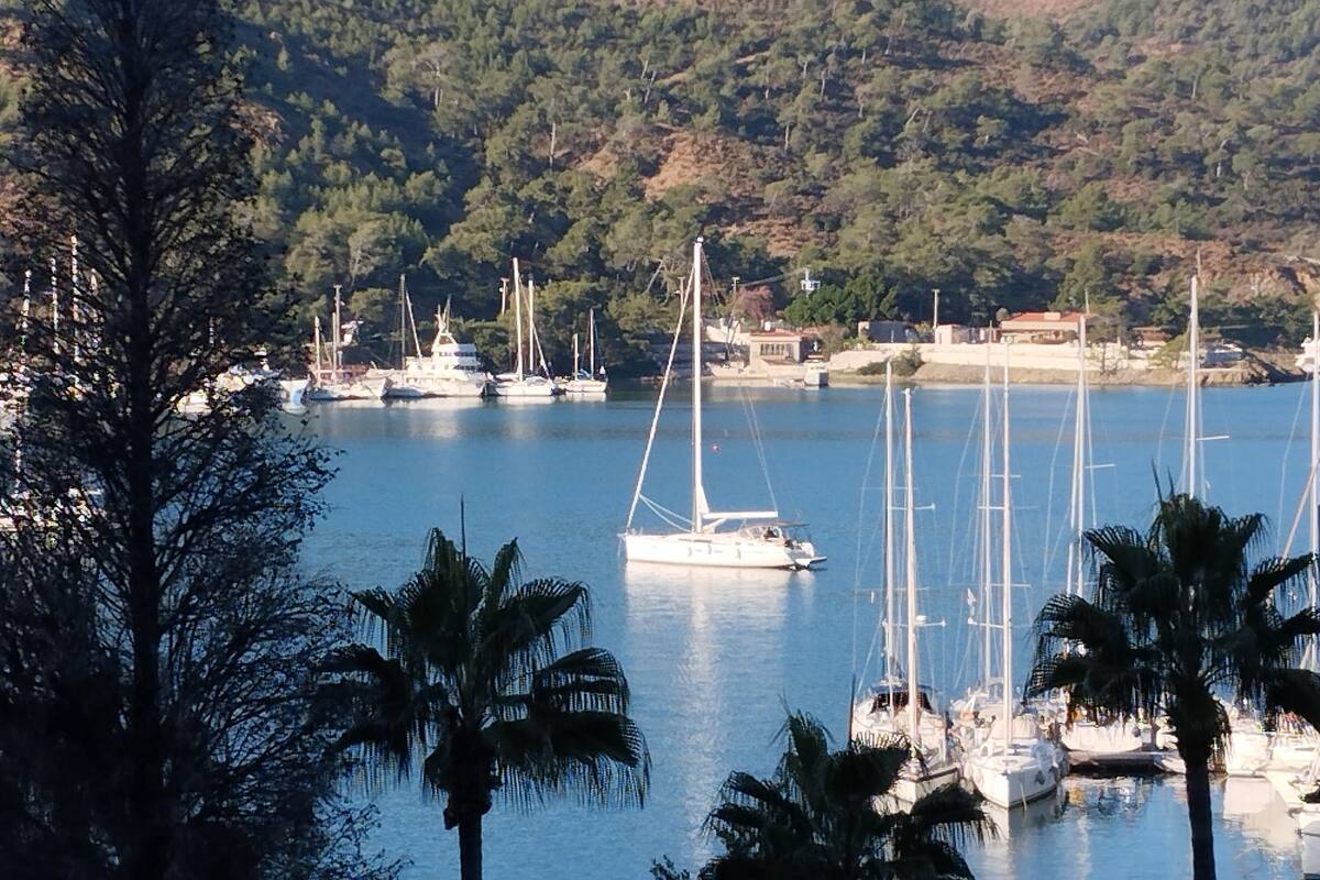 A marina with several sailboats docked, surrounded by hills and palm trees.