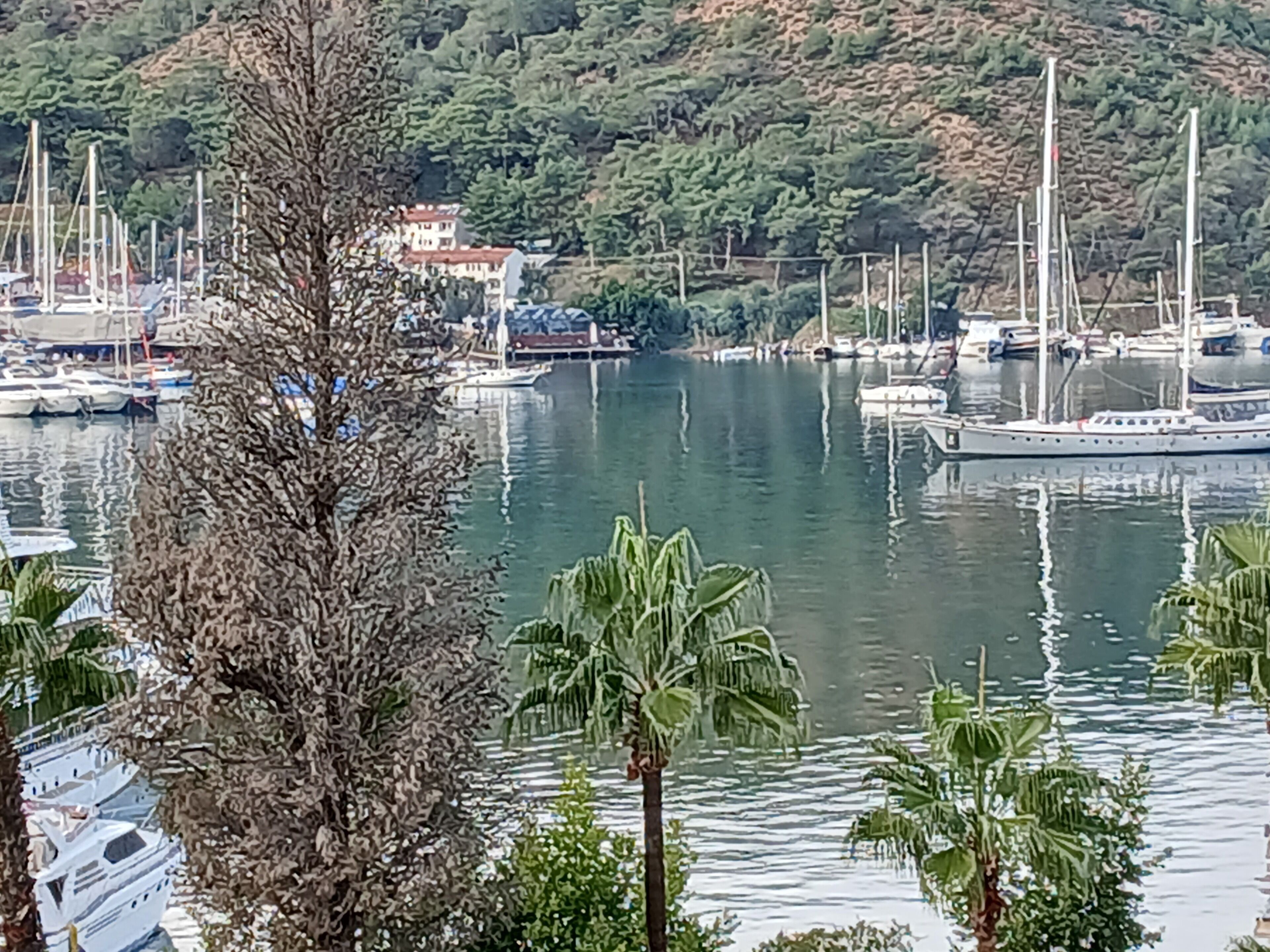 パノラミック アパートメント シービュー | 1 室のベッドルーム、デスク、WiFi (無料)、ベッドシーツ