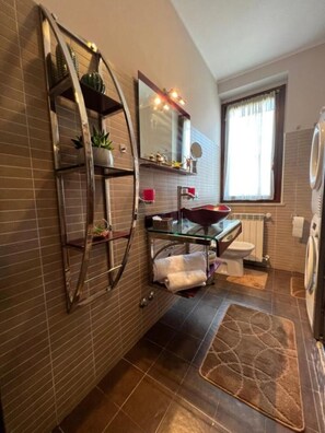 Shower, hair dryer, bathrobes, bidet