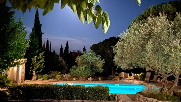 Ein Nachtblick auf einen Pool, umgeben von verschiedenen Bäumen und Sträuchern.
