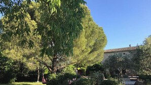 Ein Garten mit einem großen Baum, einer Steinmauer und einem Gebäude mit Ziegeldach.