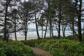 A coastal path leading to a beach with dense trees and ocean views.