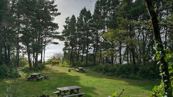 Overnatningsstedets område