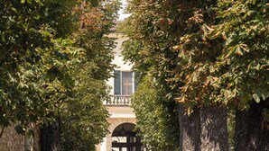 A pathway lined with trees leading to a building with an arched entrance.