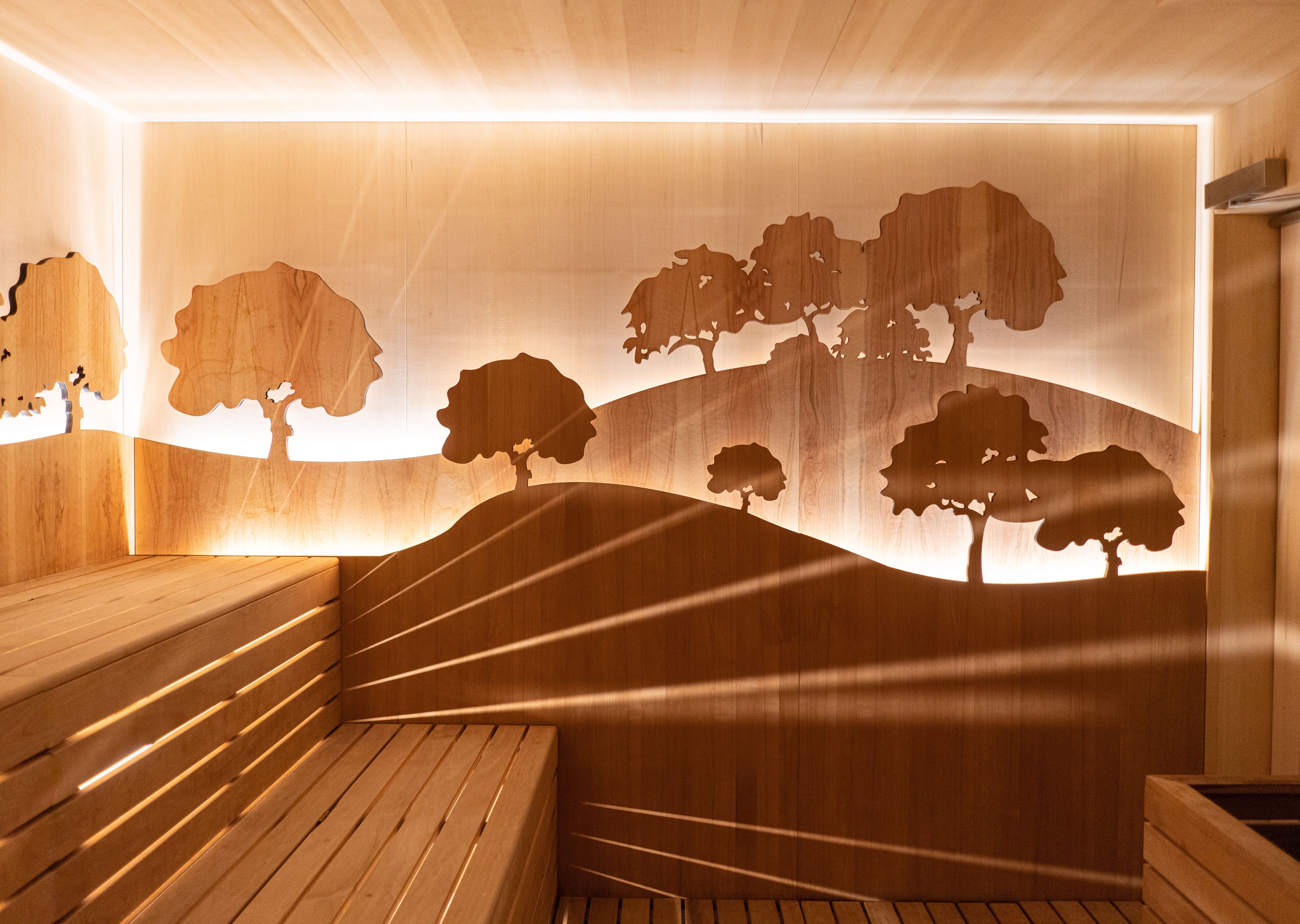 A sauna with wooden benches and a wall with cut-out tree silhouettes.