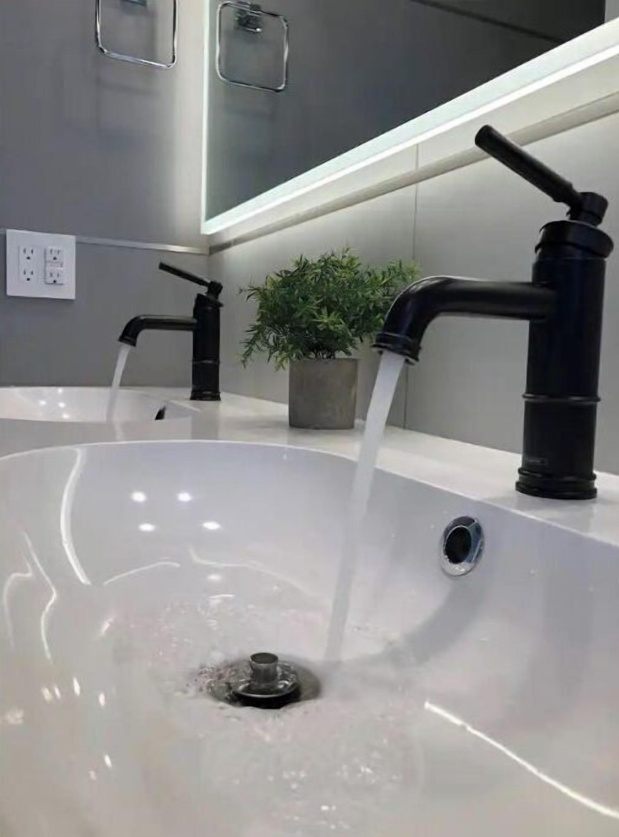 Un bagno moderno con un lavandino capiente, due rubinetti e una pianta in vaso.