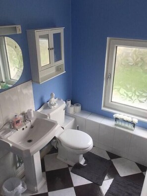 Une salle de bain avec un lavabo, des toilettes et un meuble de rangement, tous de couleur blanche, un carrelage à motifs et une fenêtre donnant sur un paysage agréable.