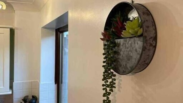 Eine Küche mit modernem Design, ausgestattet mit einem wandmontierten Pflanzgefäß mit Grünpflanzen und einer hängenden Pflanze.