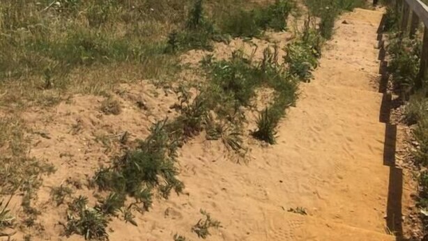 Ein Küstenpfad, der zu einem Strand mit einer Rasenfläche und einem Zaun führt.