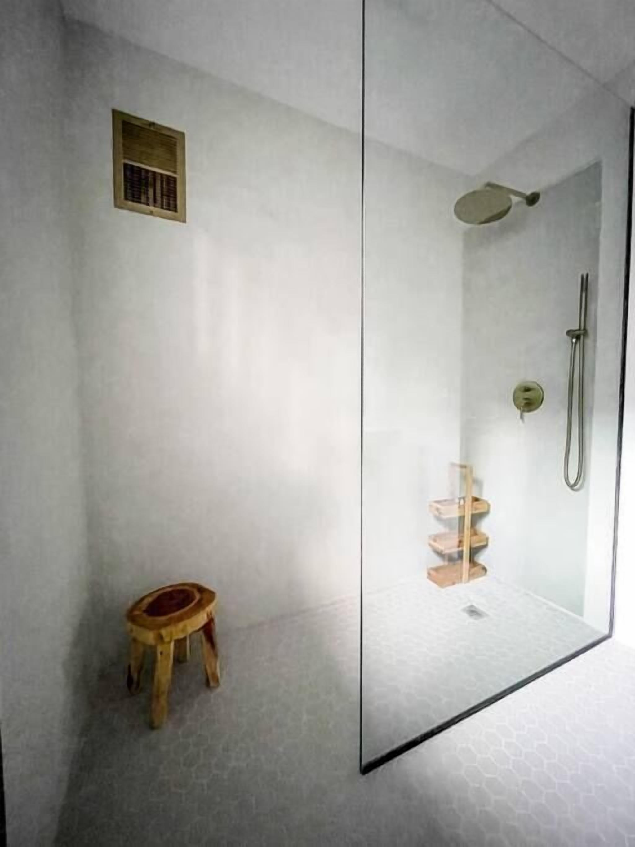 Shower, hair dryer