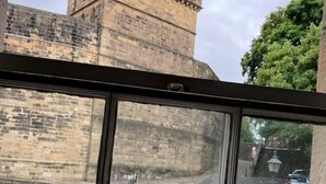 Vista desde una ventana de un edificio con torre de piedra, una calle con coches estacionados y un césped verde.