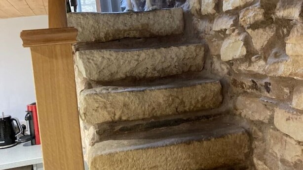Un perro de pie sobre una escalera de piedra en el interior de un edificio.