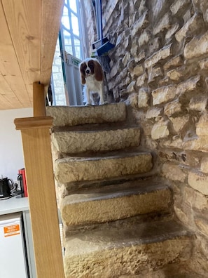 Stairs lead to an upper level with a window offering a view of the outside.