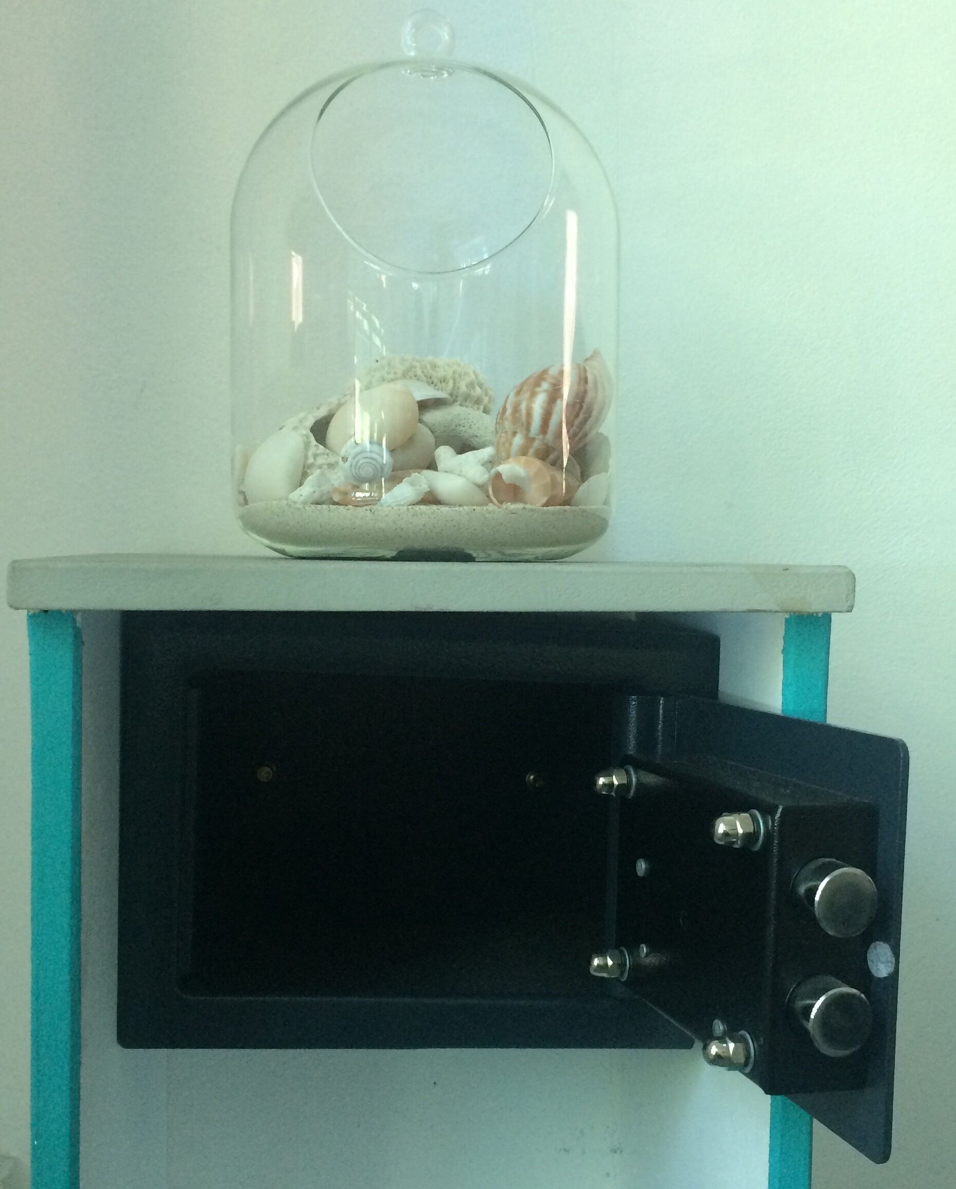 Un dôme de verre contenant des coquillages et un petit escargot, posé sur une étagère au-dessus d’un meuble noir à la structure turquoise.