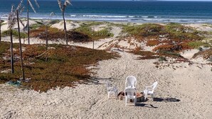 A beach with three white plastic chairs and a fire pit, surrounded by sand and sparse vegetation. - Mi Sueño Casita 2 - Directly on sandy beach (Ensenada)