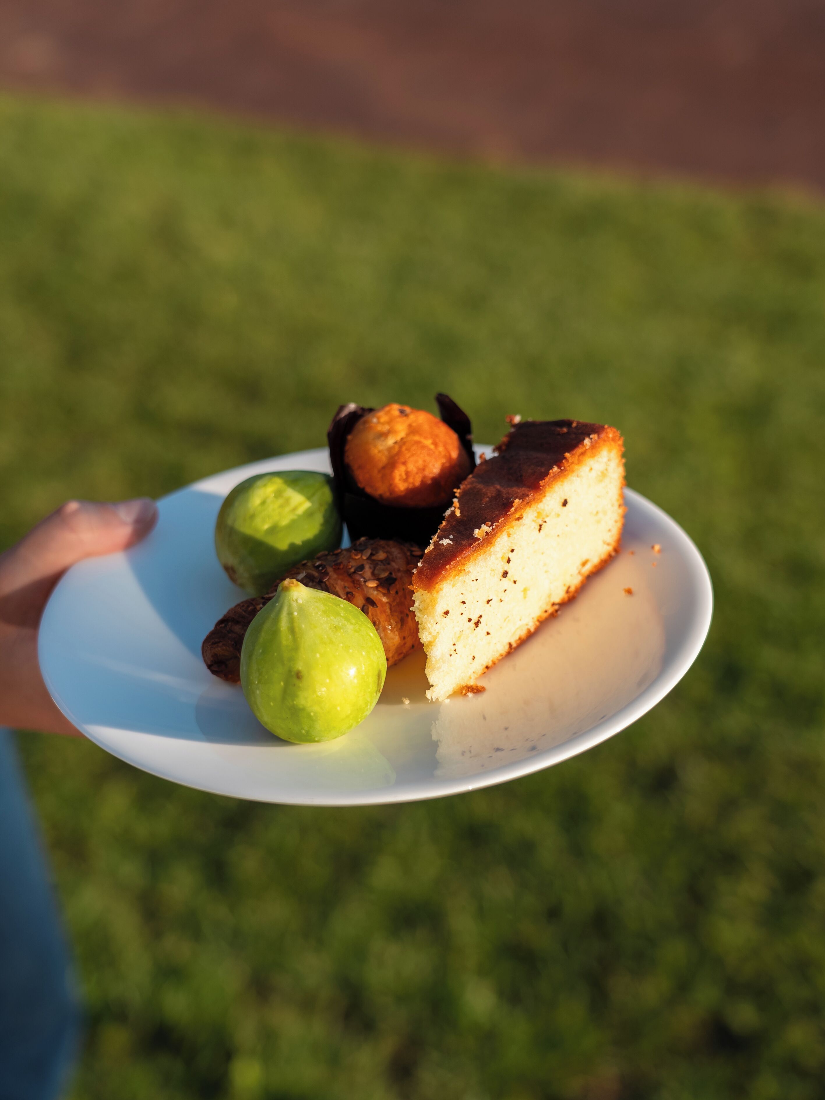 A plate with a slice of cake and two green fruits.