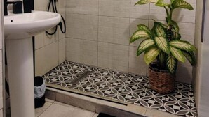 Ducha con puerta de vidrio, lavamanos blanco y planta en maceta.