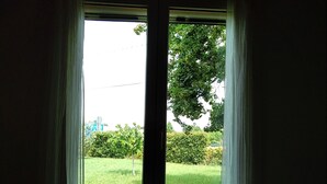 A window with sheer curtains, a view of a green lawn, and a tree.