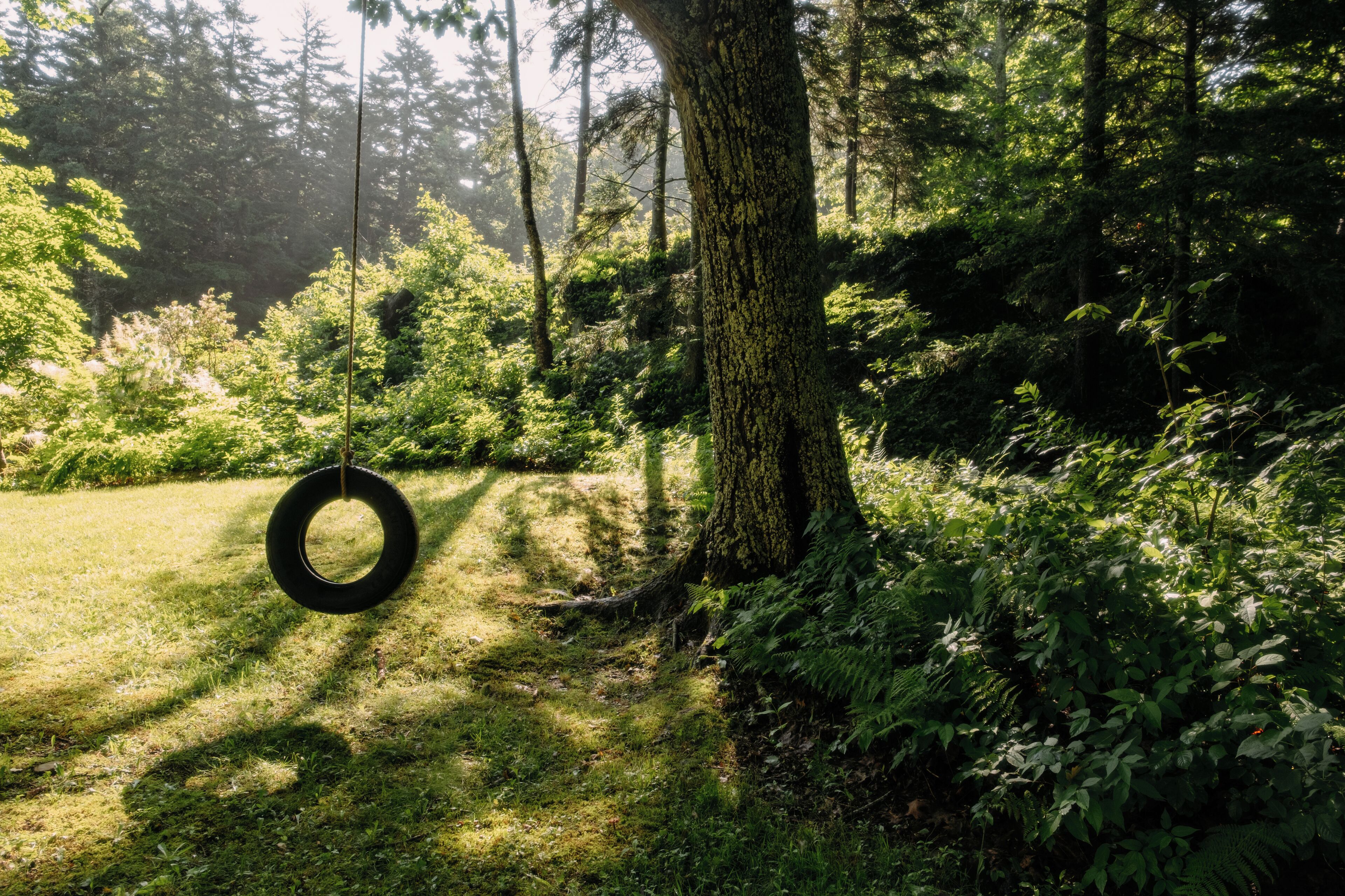 Overnattingsstedets uteområder